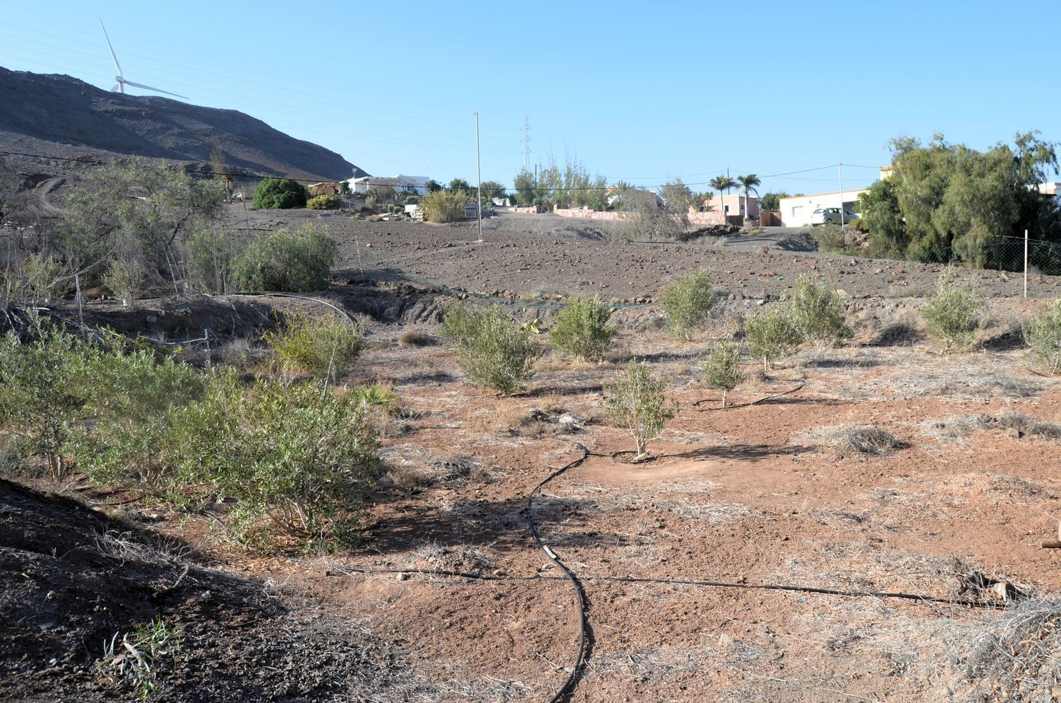 Casas o chalets-Venta-Tuineje-2032724-Foto-29