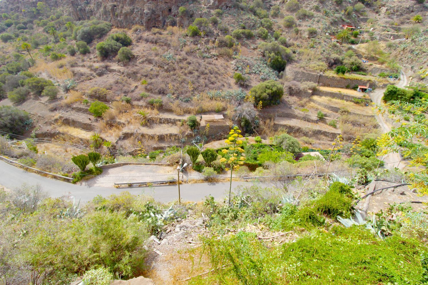 Casas o chalets-Venta-Telde-1834780-Foto-28