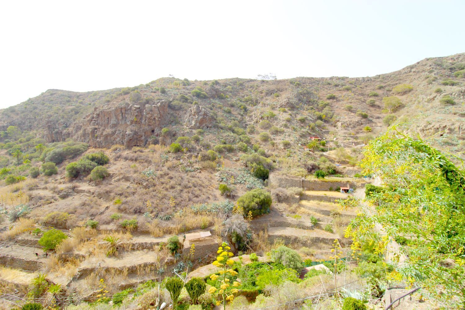 Casas o chalets-Venta-Telde-1834780-Foto-27