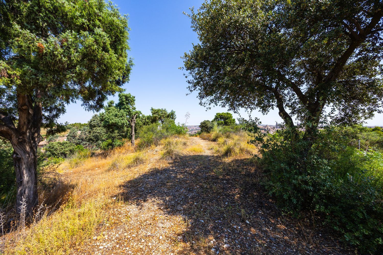 Fincas y solares-Venta-Toledo-1476741-Foto-5