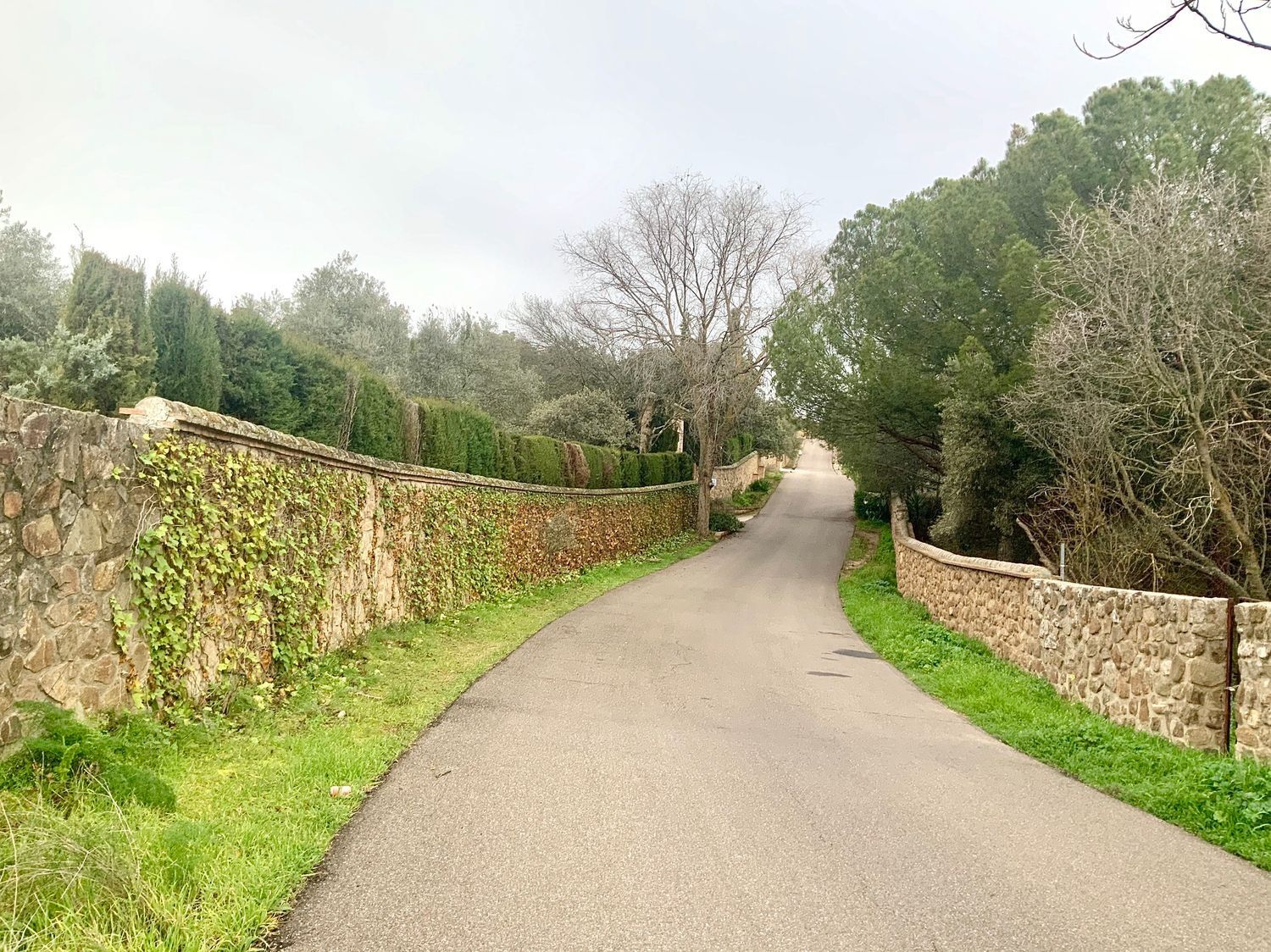 Fincas y solares-Venta-Toledo-1476741-Foto-9