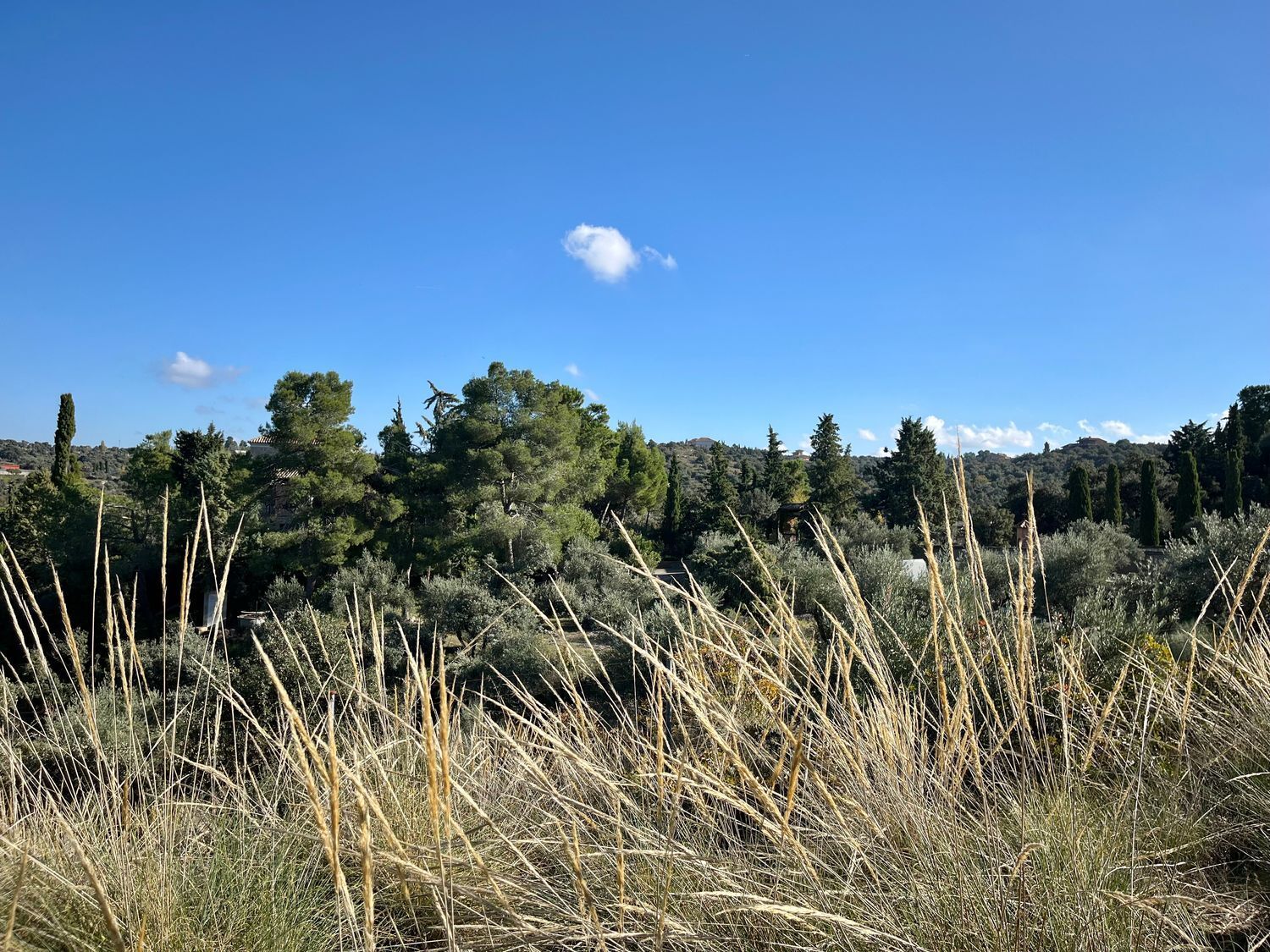 Fincas y solares-Venta-Toledo-1476741-Foto-13