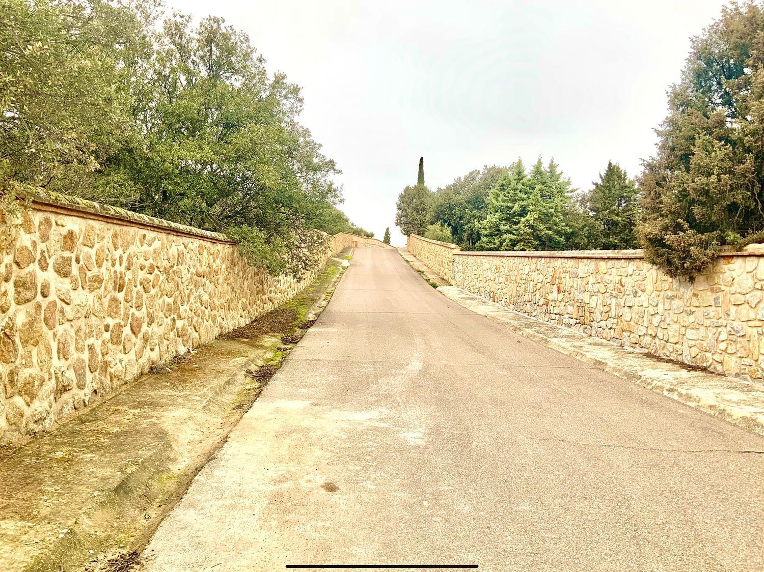 Fincas y solares-Venta-Toledo-1476741-Foto-21