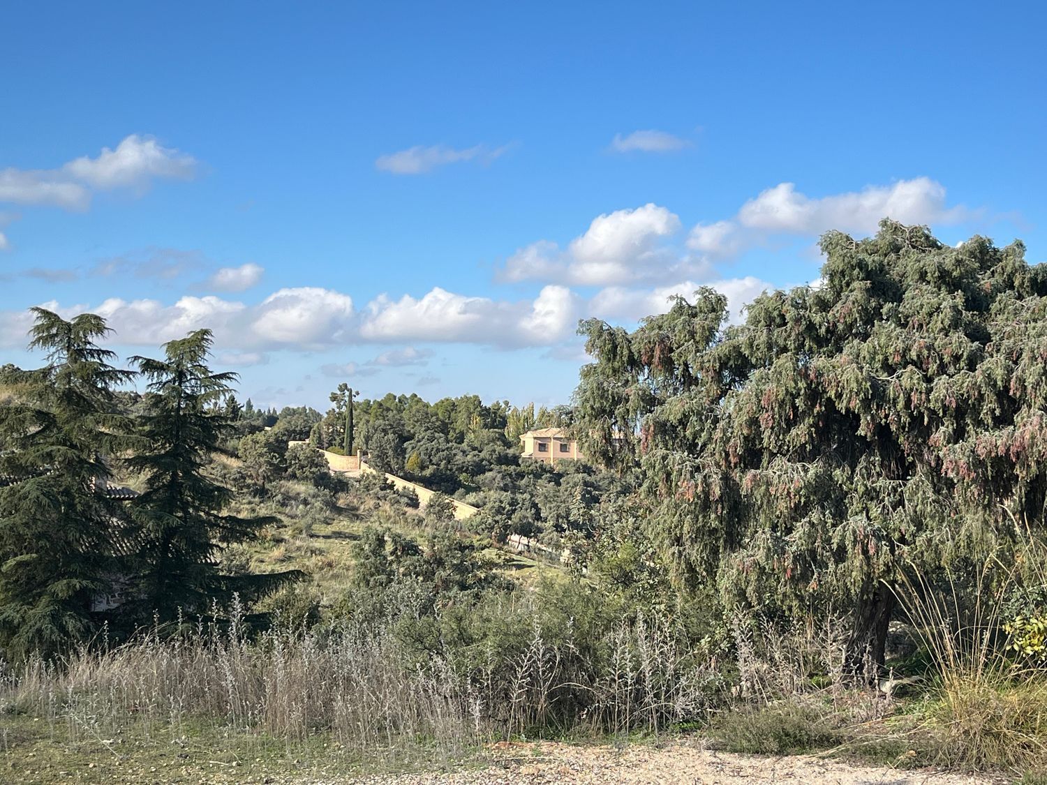 Fincas y solares-Venta-Toledo-1476741-Foto-18