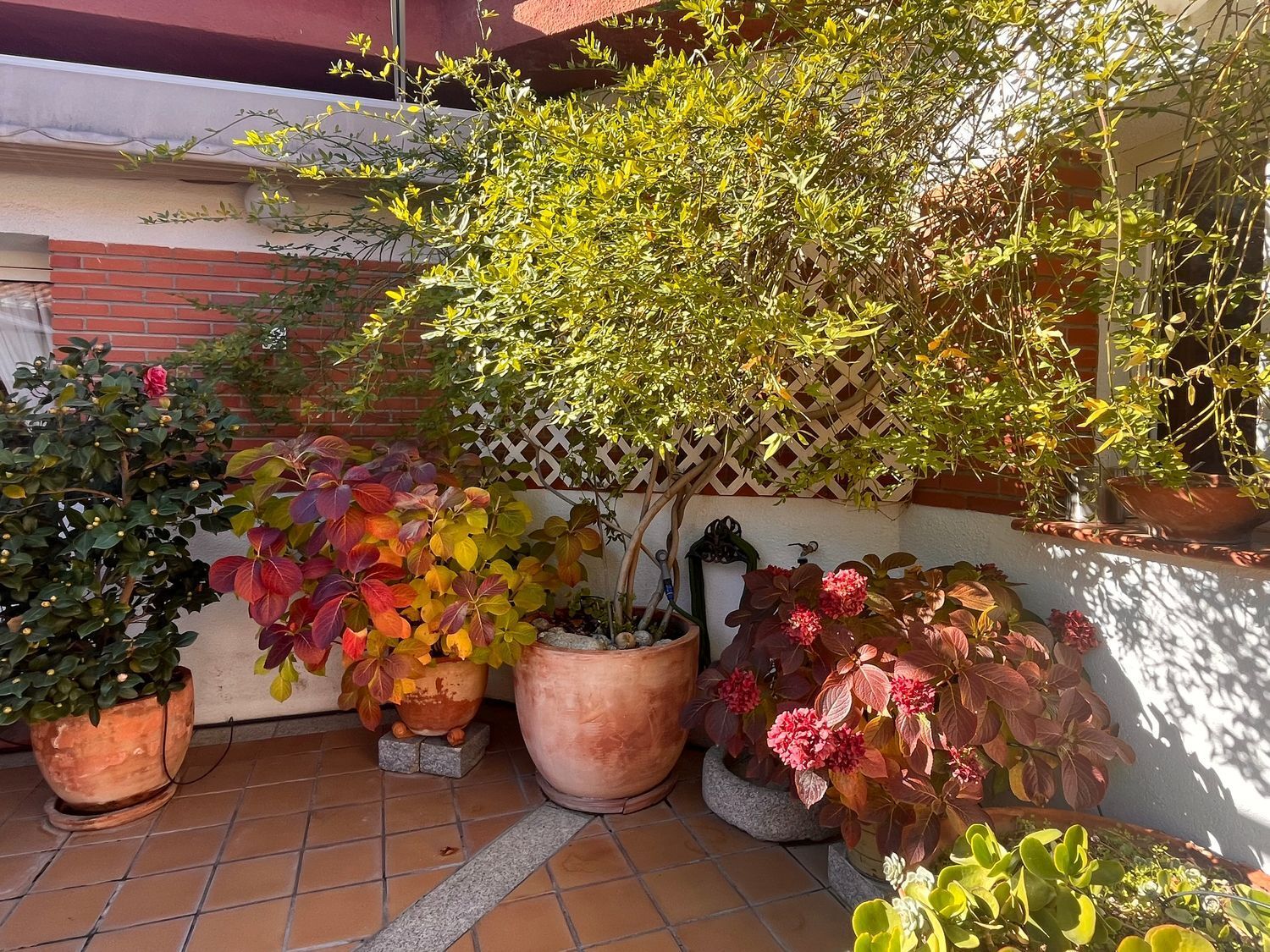 Casas o chalets-Venta-ArgÃ©s-1978381-Foto-2