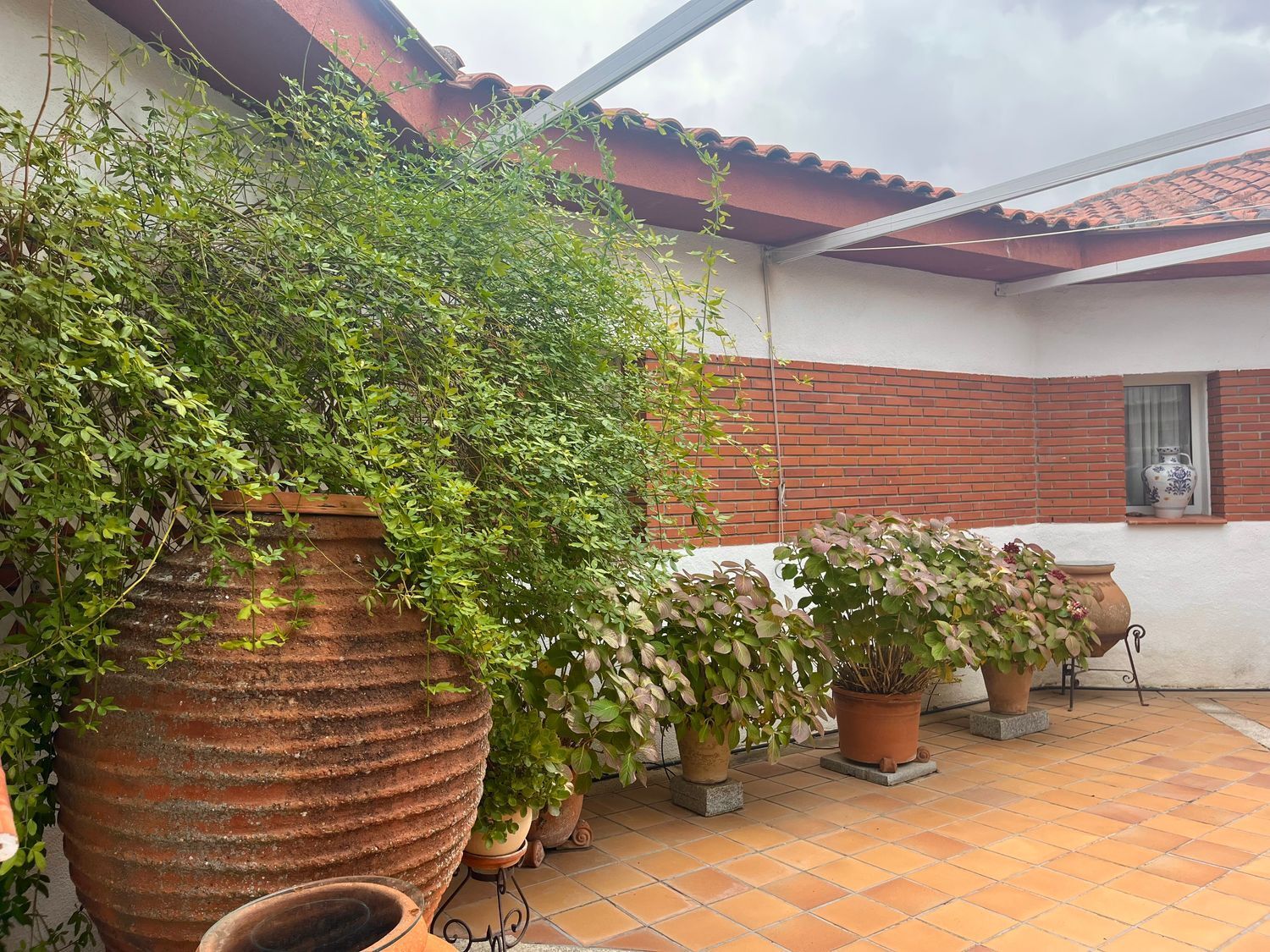 Casas o chalets-Venta-ArgÃ©s-1978381-Foto-21