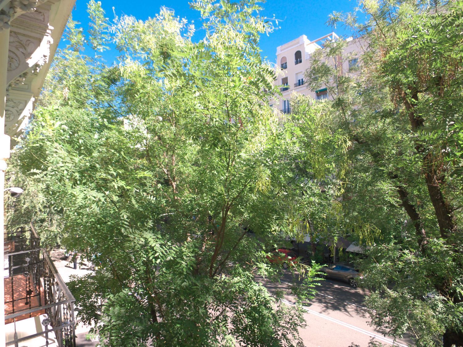 Pisos-Alquiler-Madrid-2032853-Foto-17