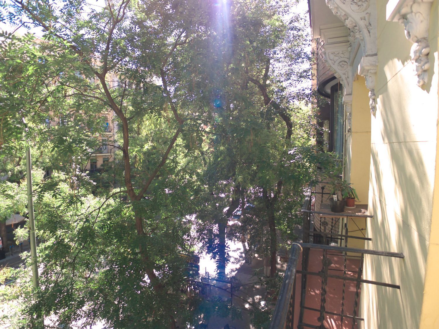 Pisos-Alquiler-Madrid-2032853-Foto-16