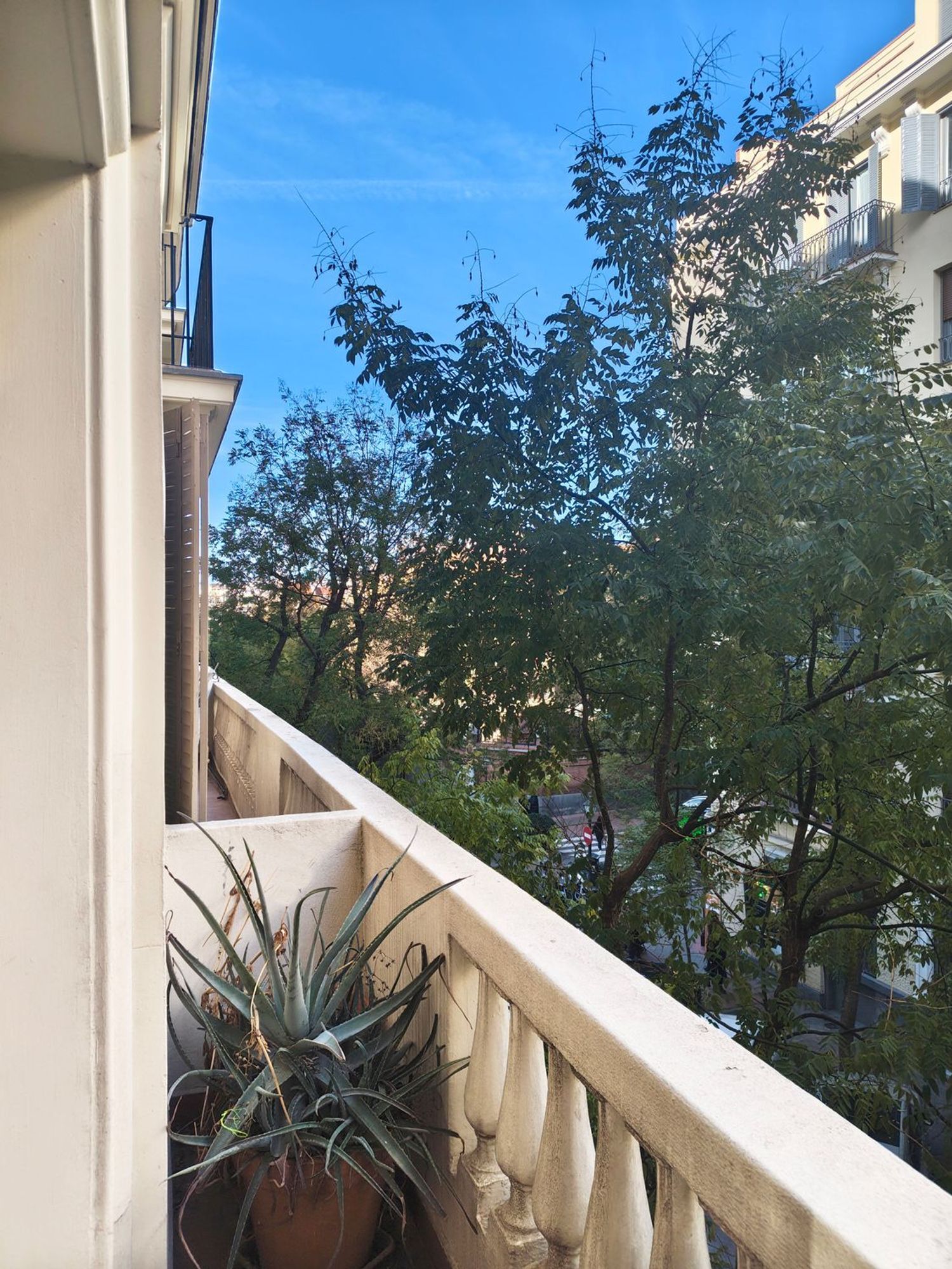 Pisos-Alquiler-Madrid-2033132-Foto-2