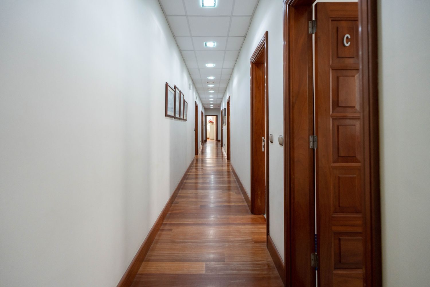 Oficinas-Venta-Las Palmas de Gran Canaria-1064768-Foto-18