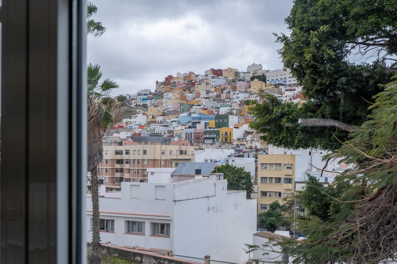 Oficinas-Venta-Las Palmas de Gran Canaria-1064768-Foto-39