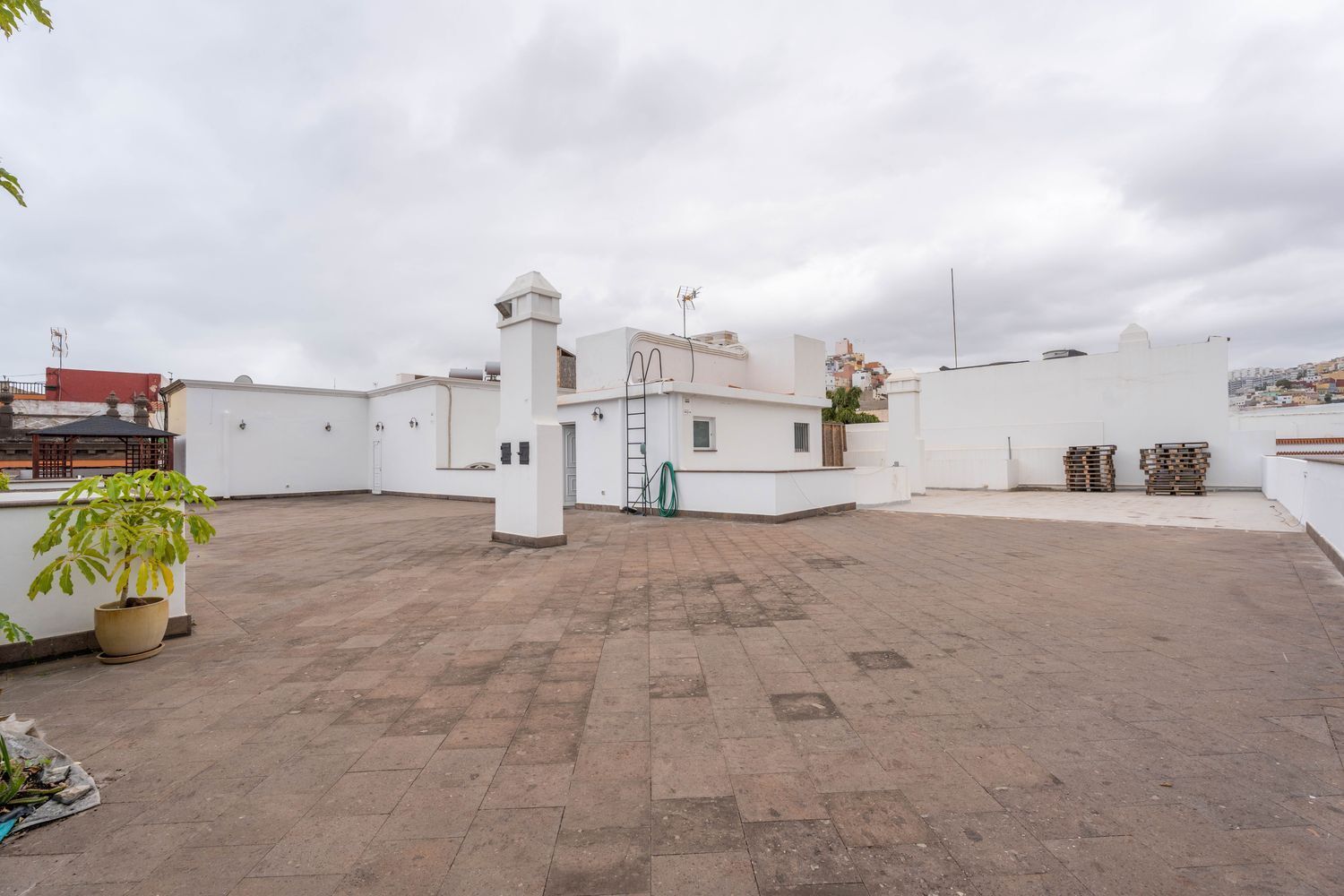 Oficinas-Venta-Las Palmas de Gran Canaria-1064768-Foto-55