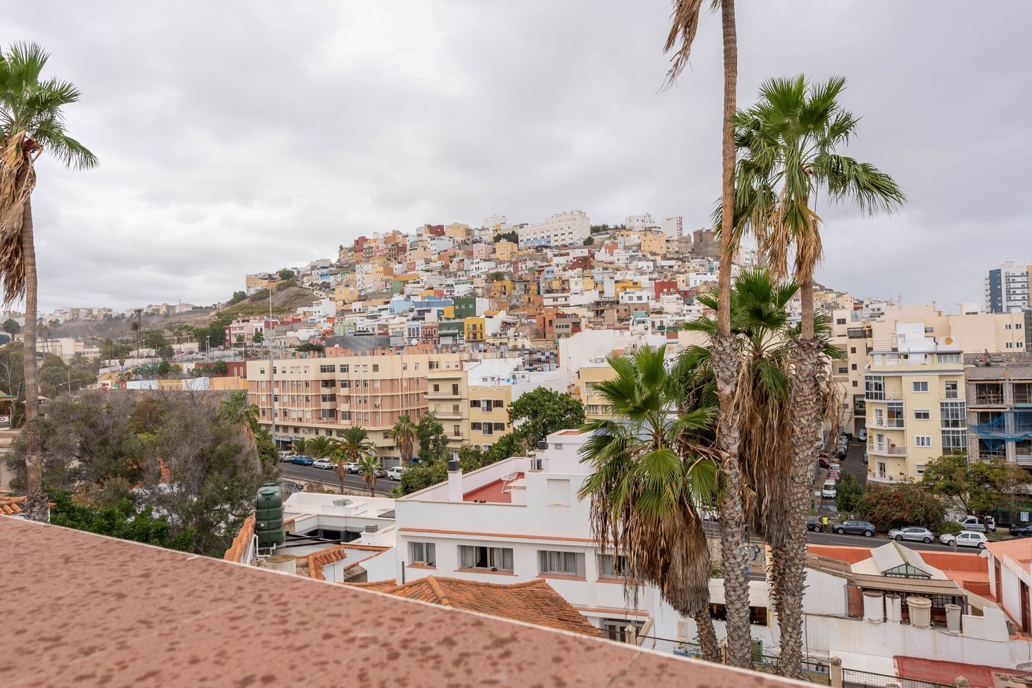 Oficinas-Venta-Las Palmas de Gran Canaria-1064768-Foto-57