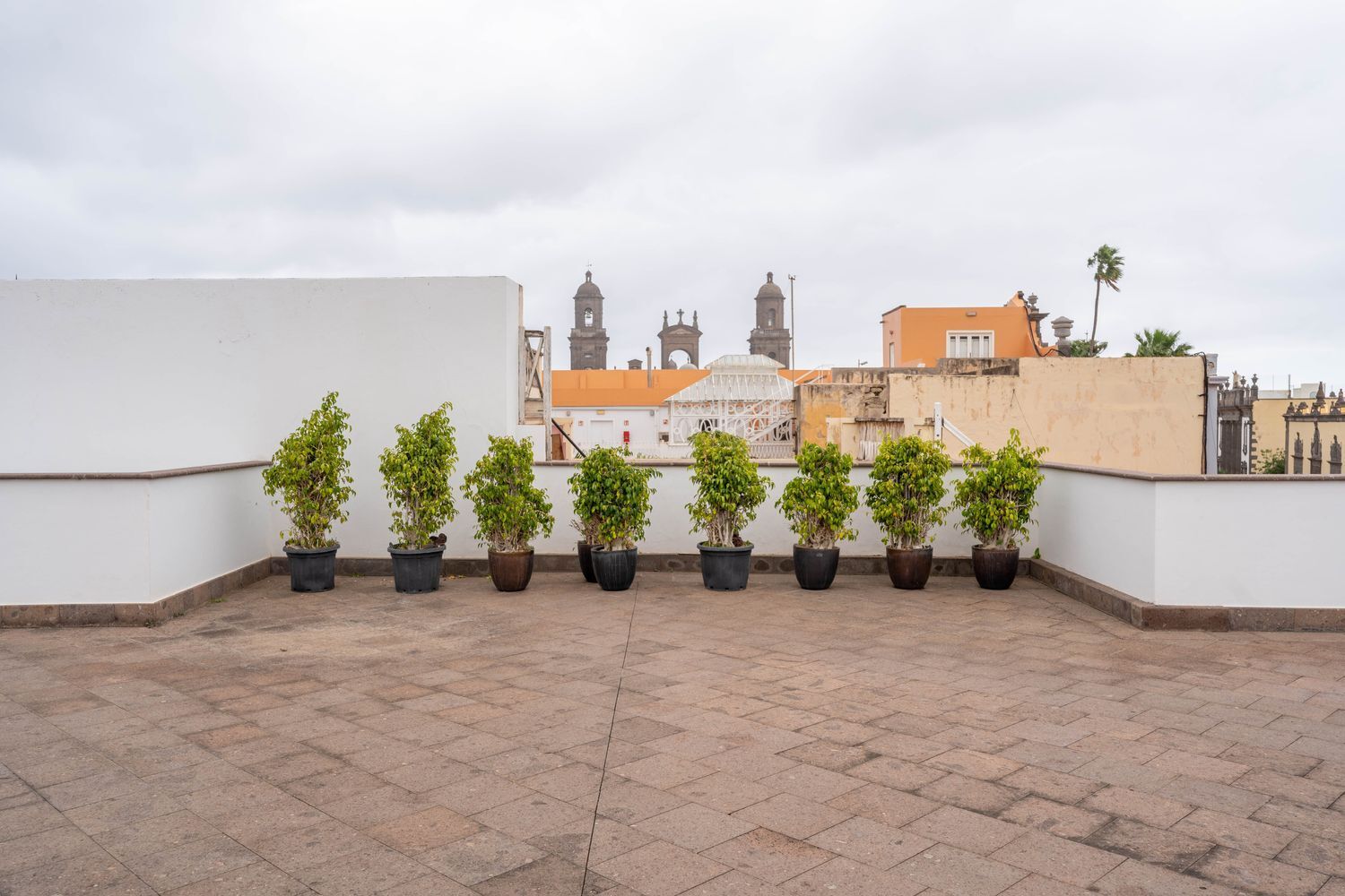 Oficinas-Venta-Las Palmas de Gran Canaria-1064768-Foto-60