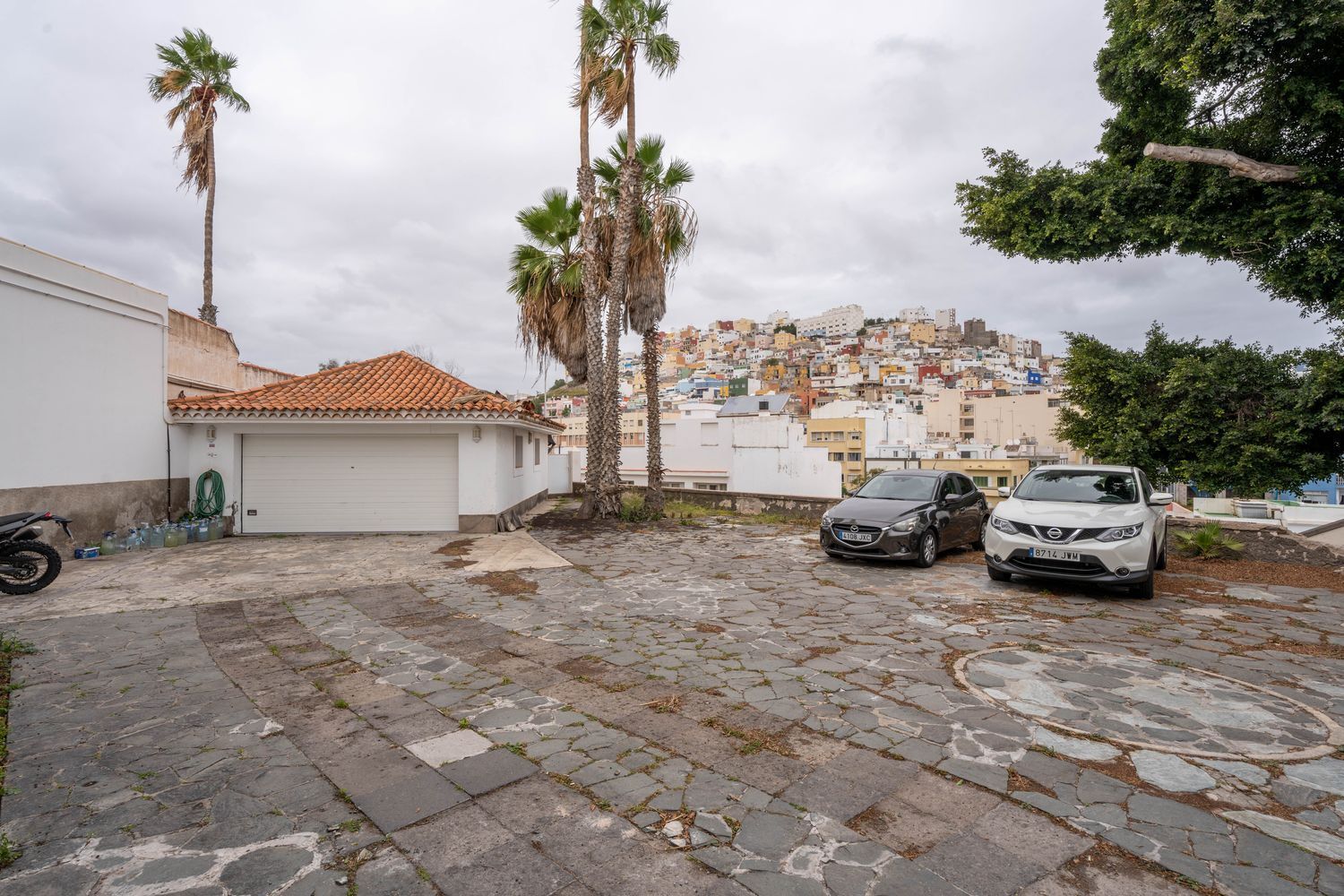 Oficinas-Venta-Las Palmas de Gran Canaria-1064768-Foto-69