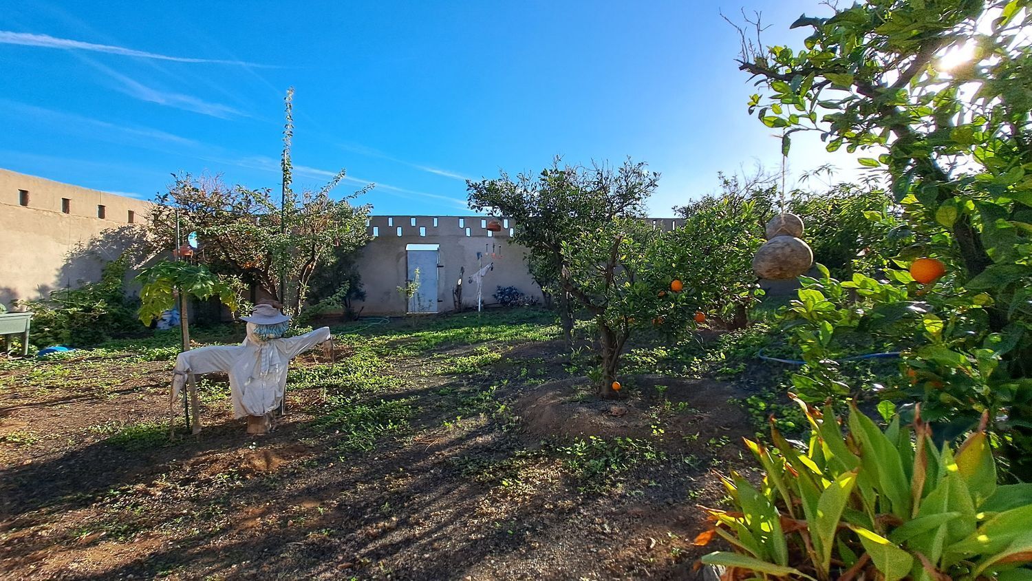 Casas o chalets-Venta-Ingenio-2032859-Foto-47