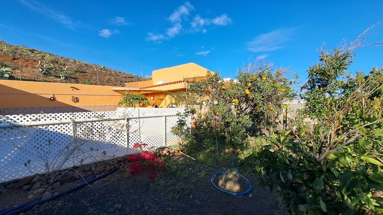 Casas o chalets-Venta-Ingenio-2032859-Foto-51