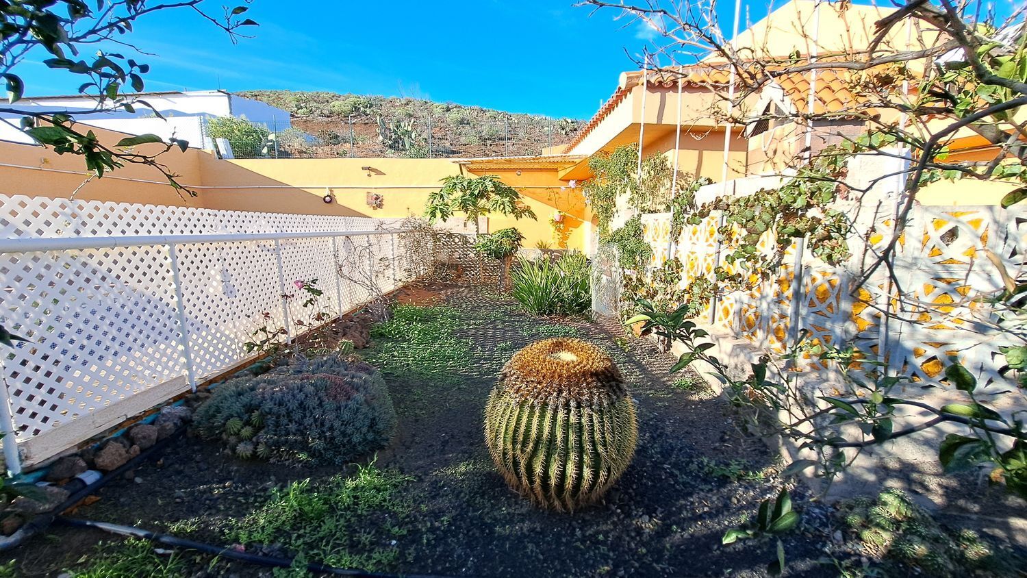 Casas o chalets-Venta-Ingenio-2032859-Foto-55