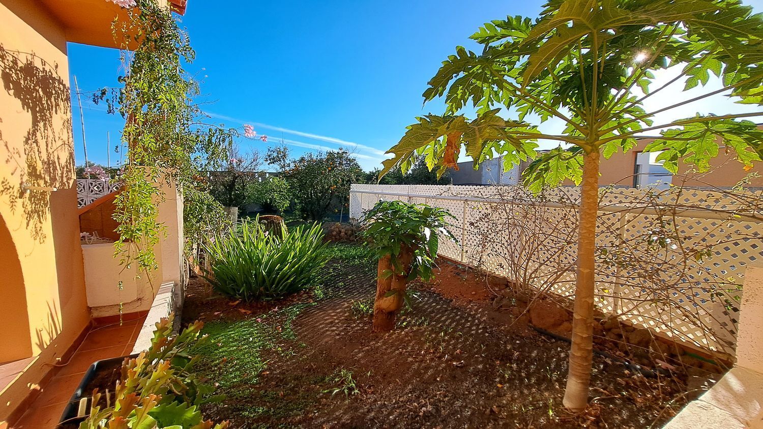 Casas o chalets-Venta-Ingenio-2032859-Foto-91