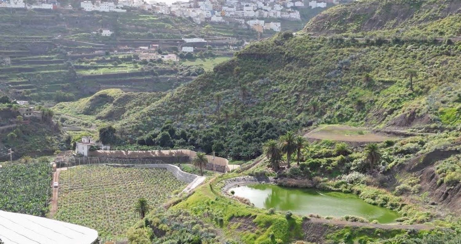 Casas o chalets-Venta-Las Palmas de Gran Canaria-2032862-Foto-30