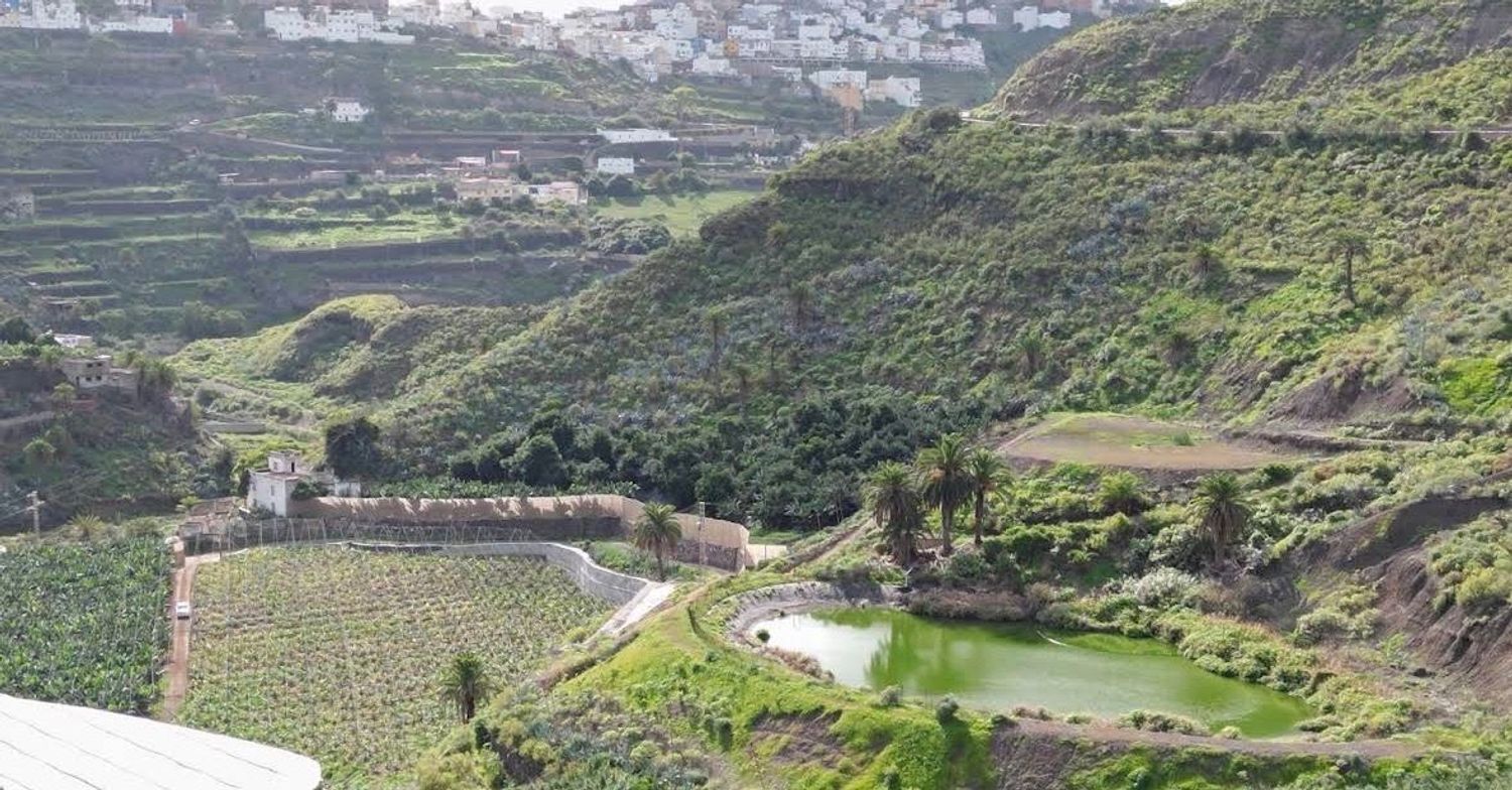 Casas o chalets-Venta-Las Palmas de Gran Canaria-2032862-Foto-34