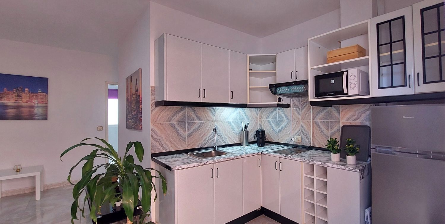 Pisos-Alquiler-Las Palmas de Gran Canaria-678938-Foto-10