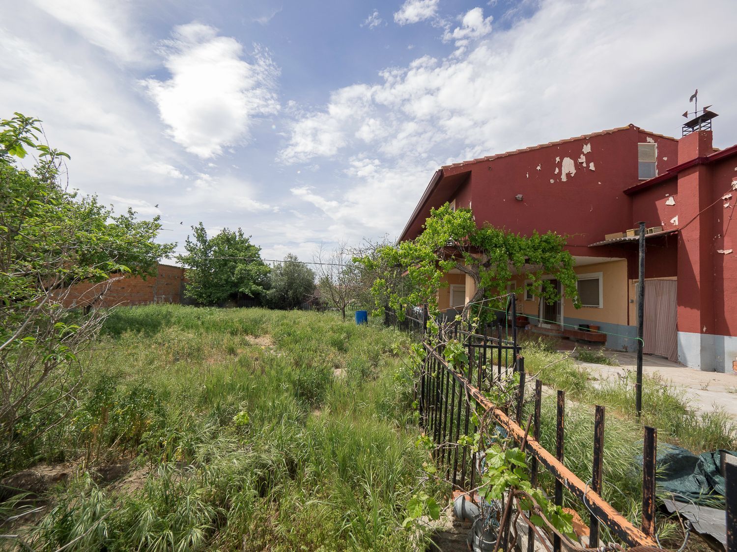 Casas o chalets-Venta-La Pedraja de Portillo-827088-Foto-5