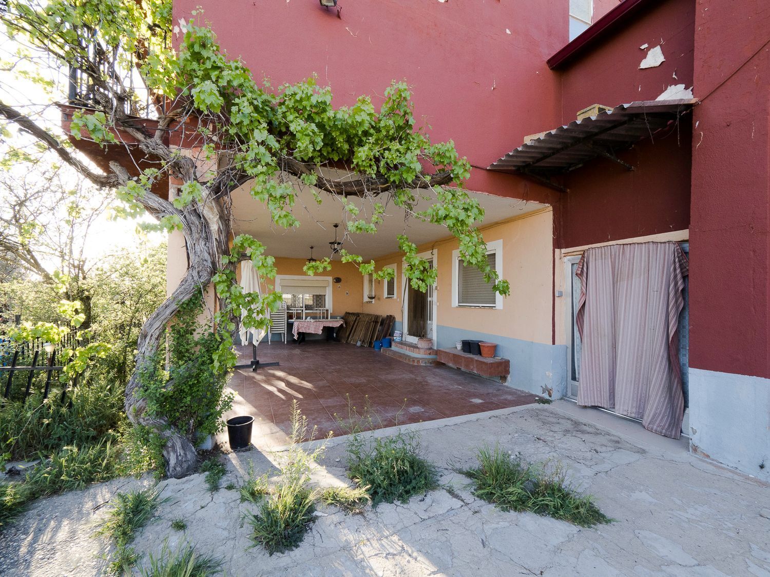 Casas o chalets-Venta-La Pedraja de Portillo-827088-Foto-6