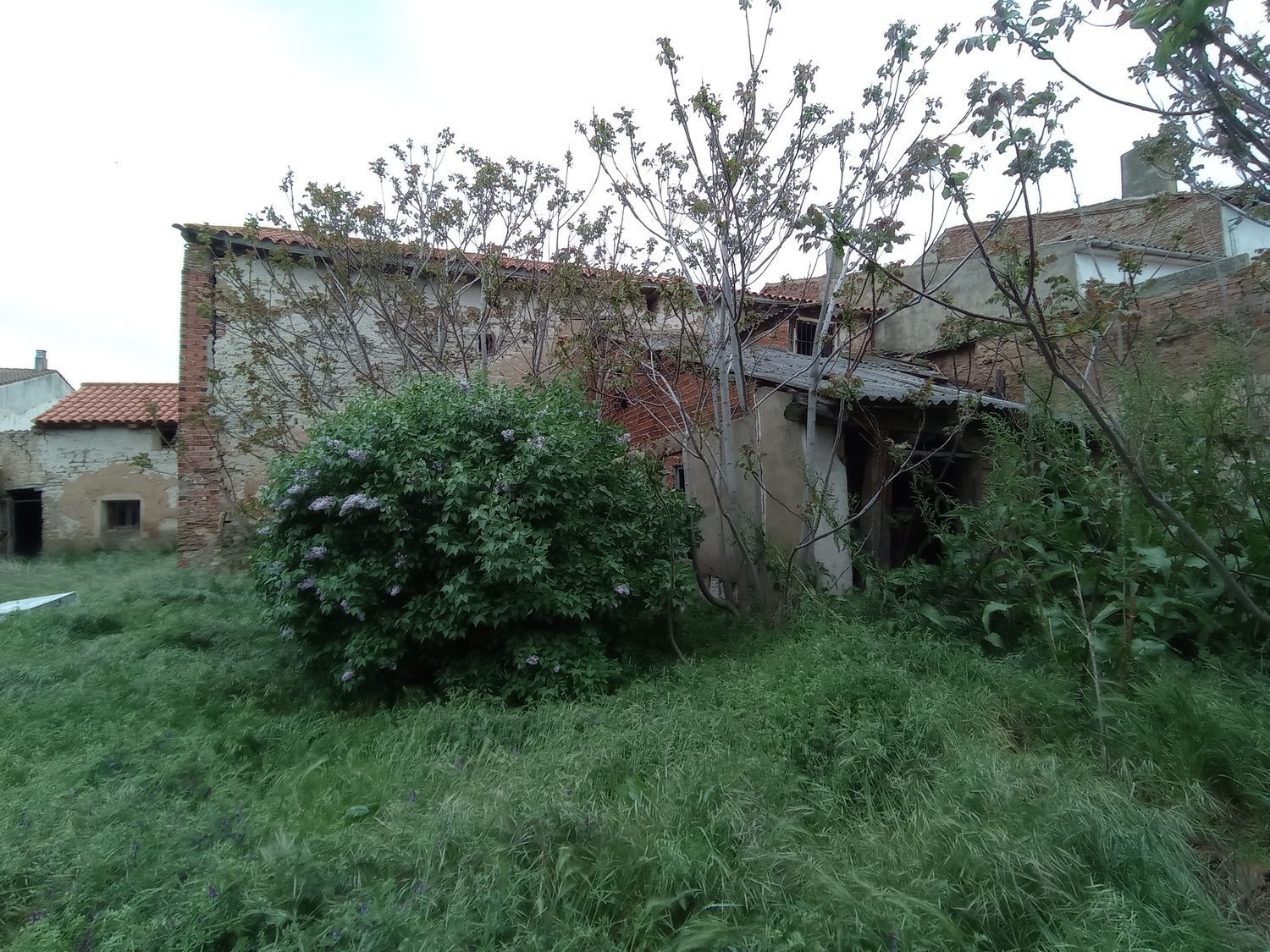 Casas o chalets-Venta-La Pedraja de Portillo-1721350-Foto-15