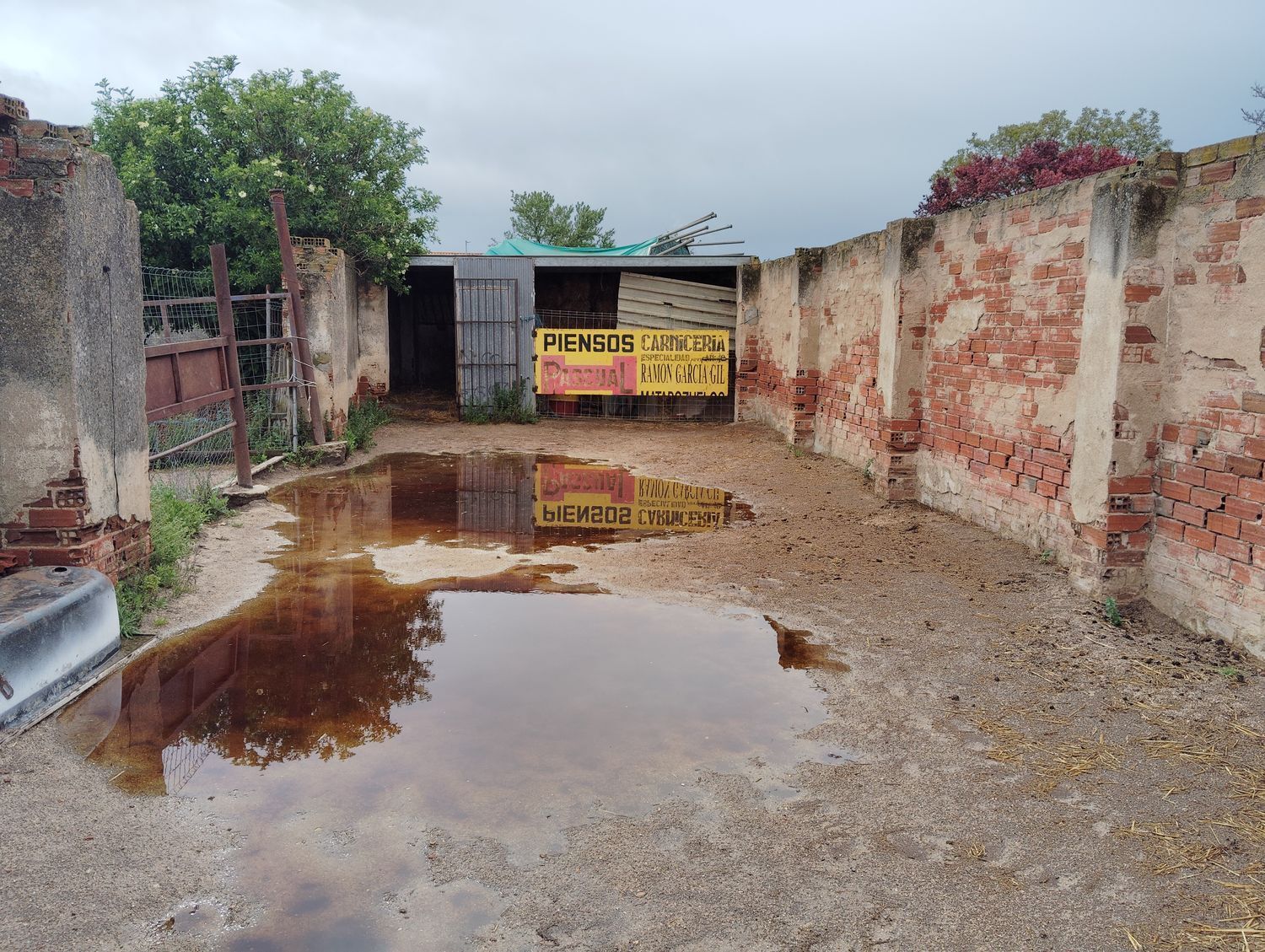 Casas o chalets-Venta-Matapozuelos-1743364-Foto-10