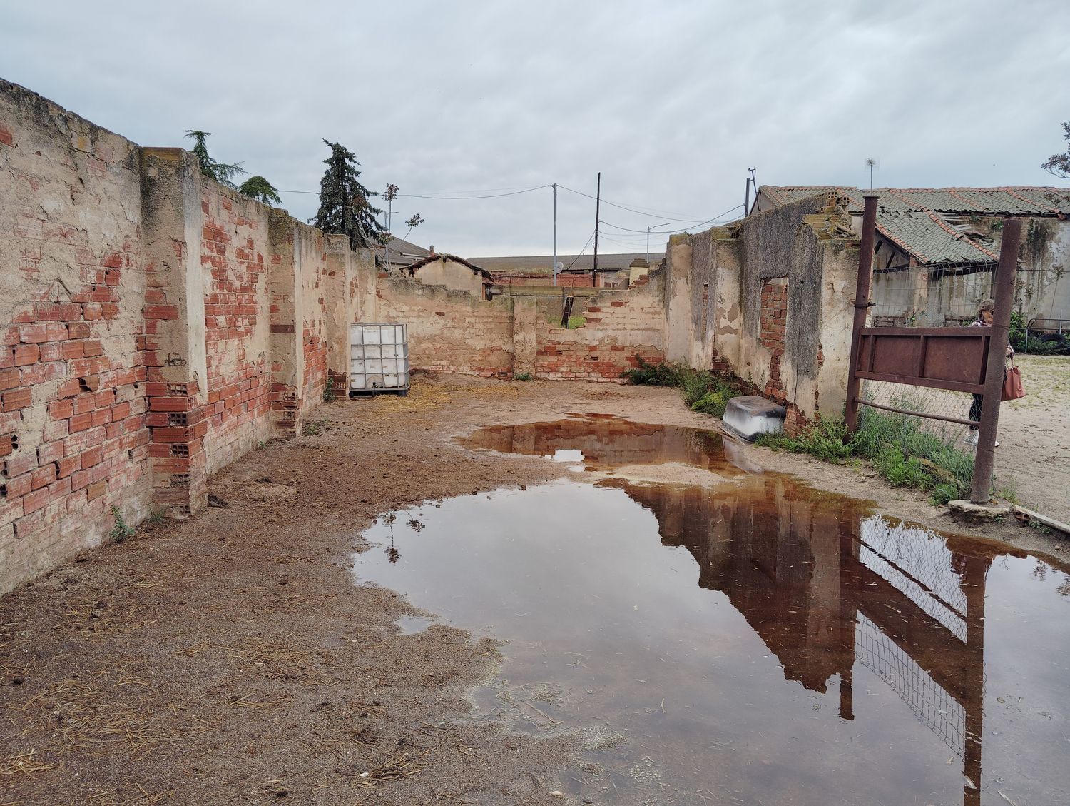 Casas o chalets-Venta-Matapozuelos-1743364-Foto-11