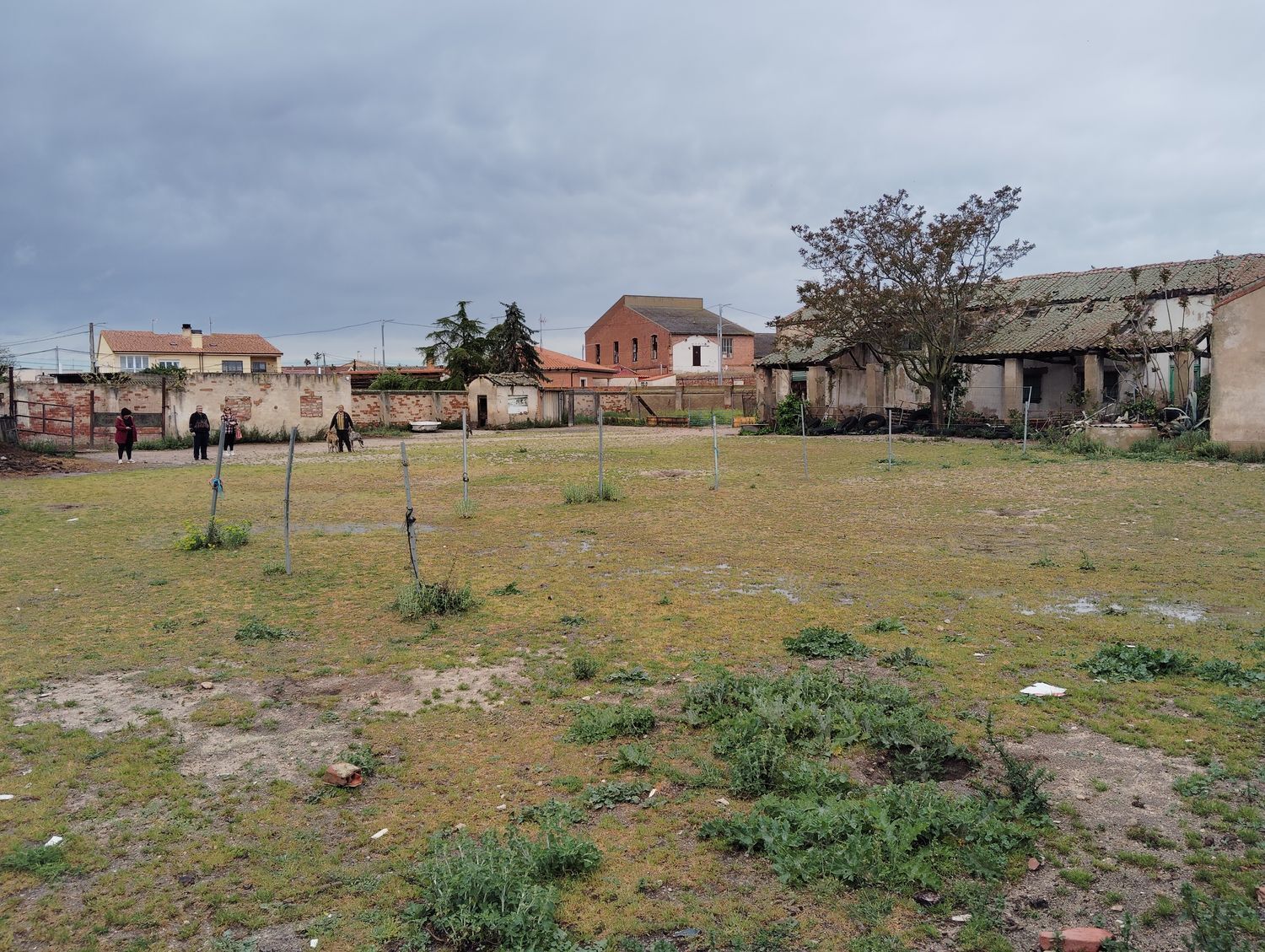 Casas o chalets-Venta-Matapozuelos-1743364-Foto-16