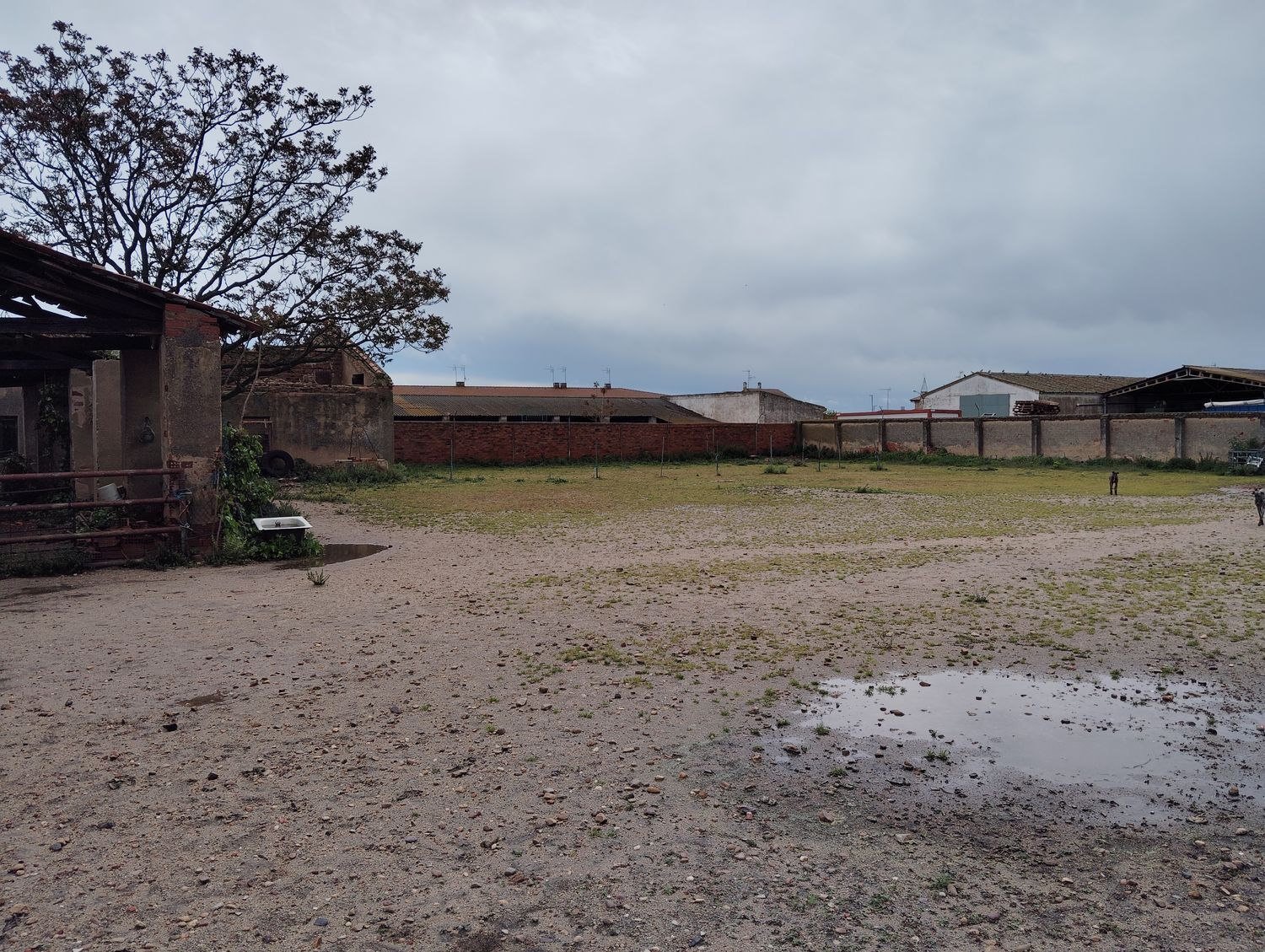 Casas o chalets-Venta-Matapozuelos-1743364-Foto-22