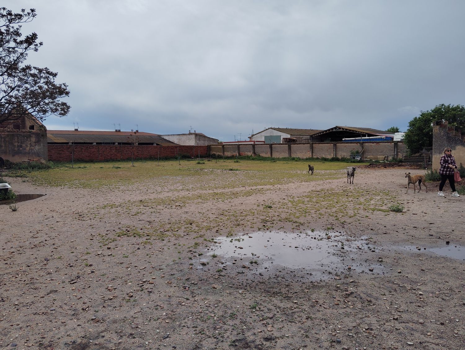 Casas o chalets-Venta-Matapozuelos-1743364-Foto-23