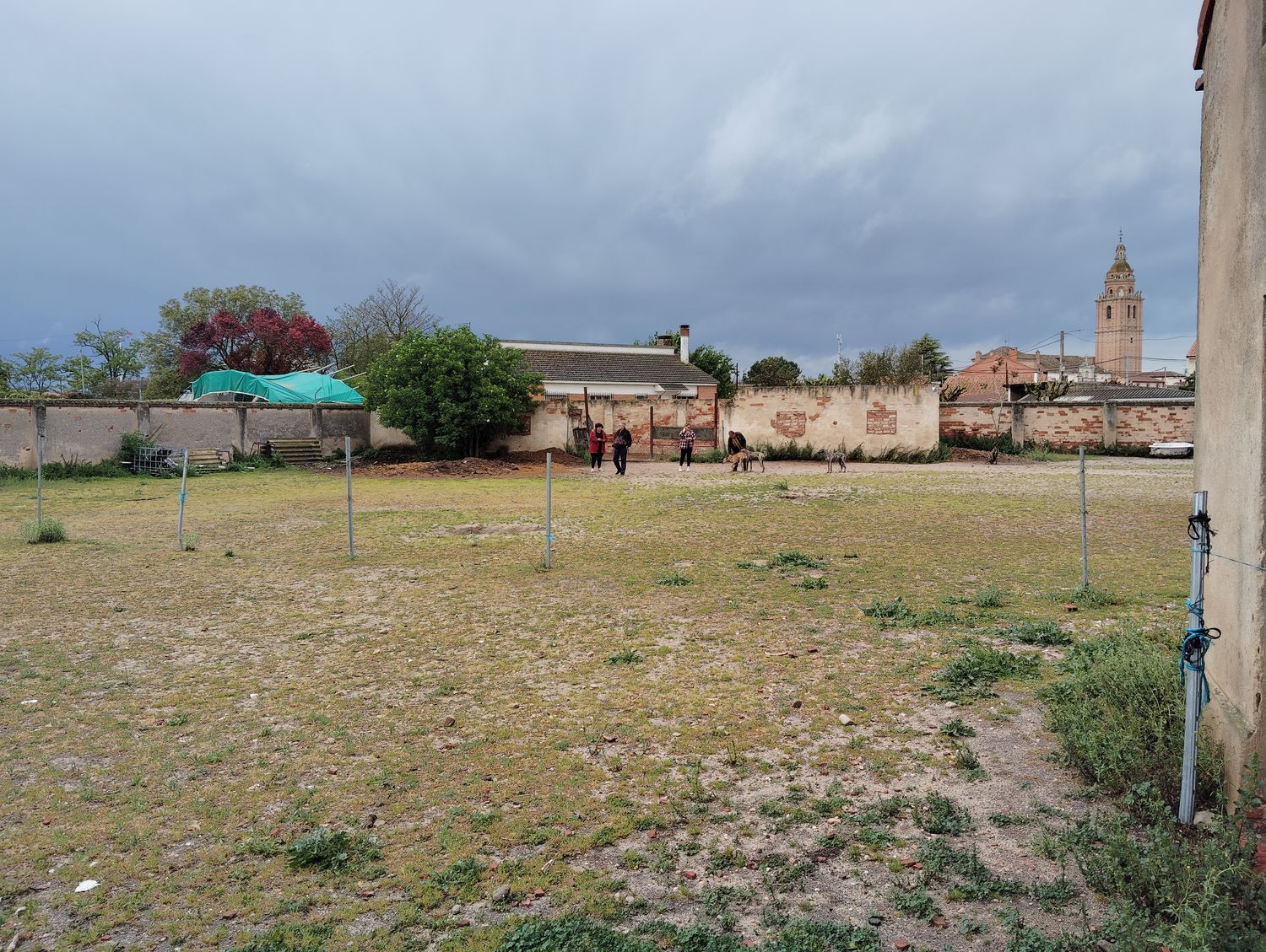 Casas o chalets-Venta-Matapozuelos-1743364-Foto-19