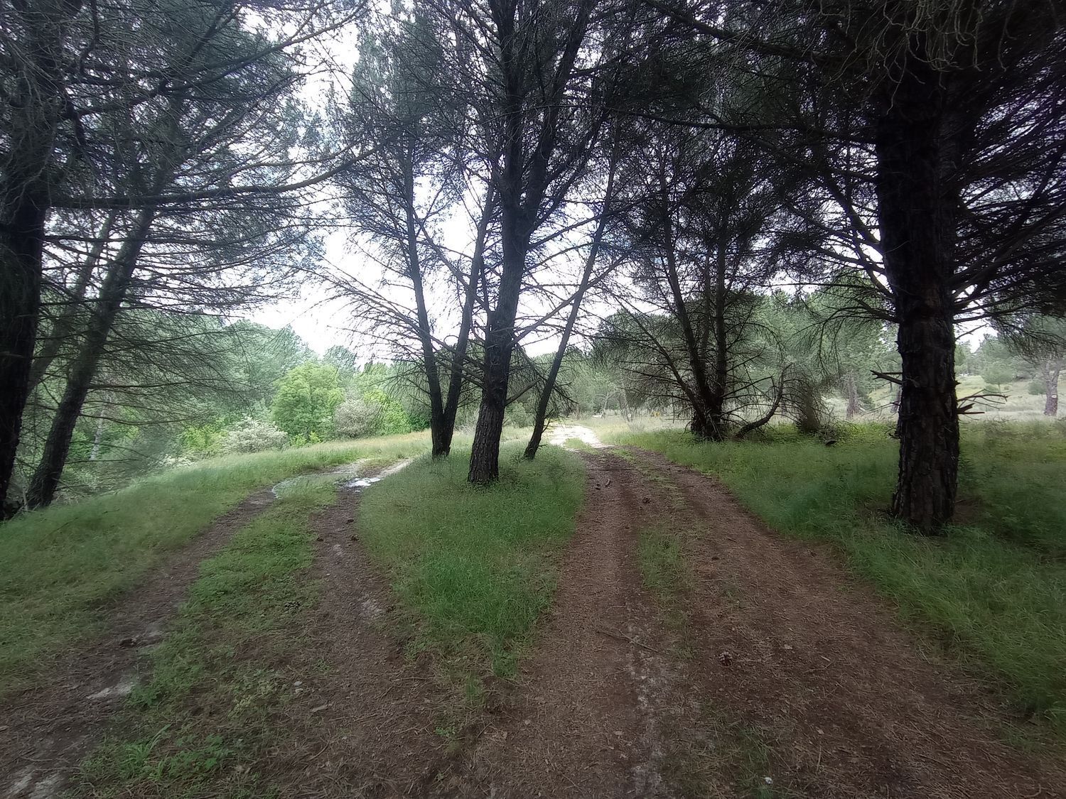 Fincas y solares-Venta-Matapozuelos-1743367