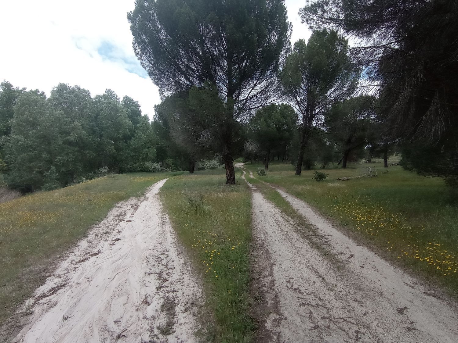 Fincas y solares-Venta-Matapozuelos-1743367-Foto-11