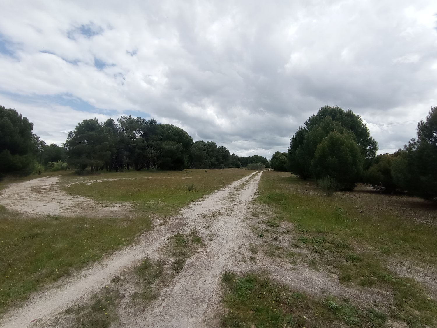 Fincas y solares-Venta-Matapozuelos-1743367-Foto-8