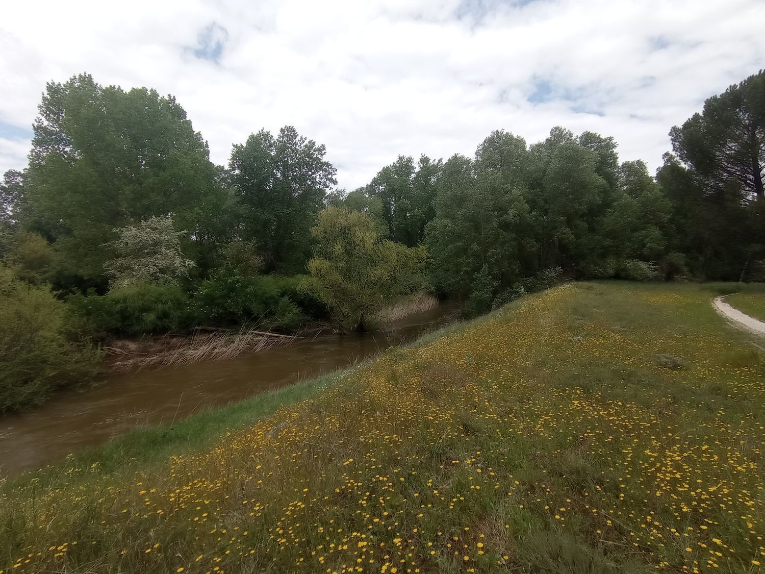 Fincas y solares-Venta-Matapozuelos-1743367-Foto-19