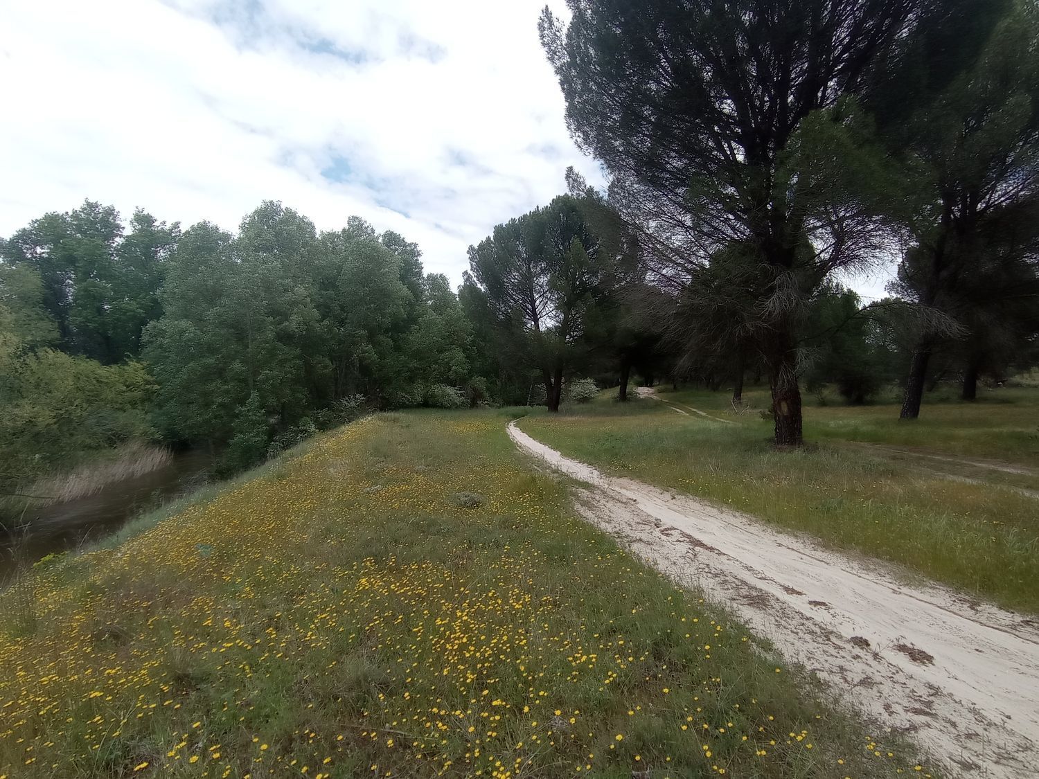 Fincas y solares-Venta-Matapozuelos-1743367-Foto-20