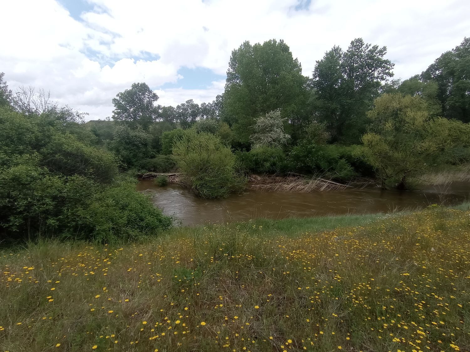 Fincas y solares-Venta-Matapozuelos-1743367-Foto-18