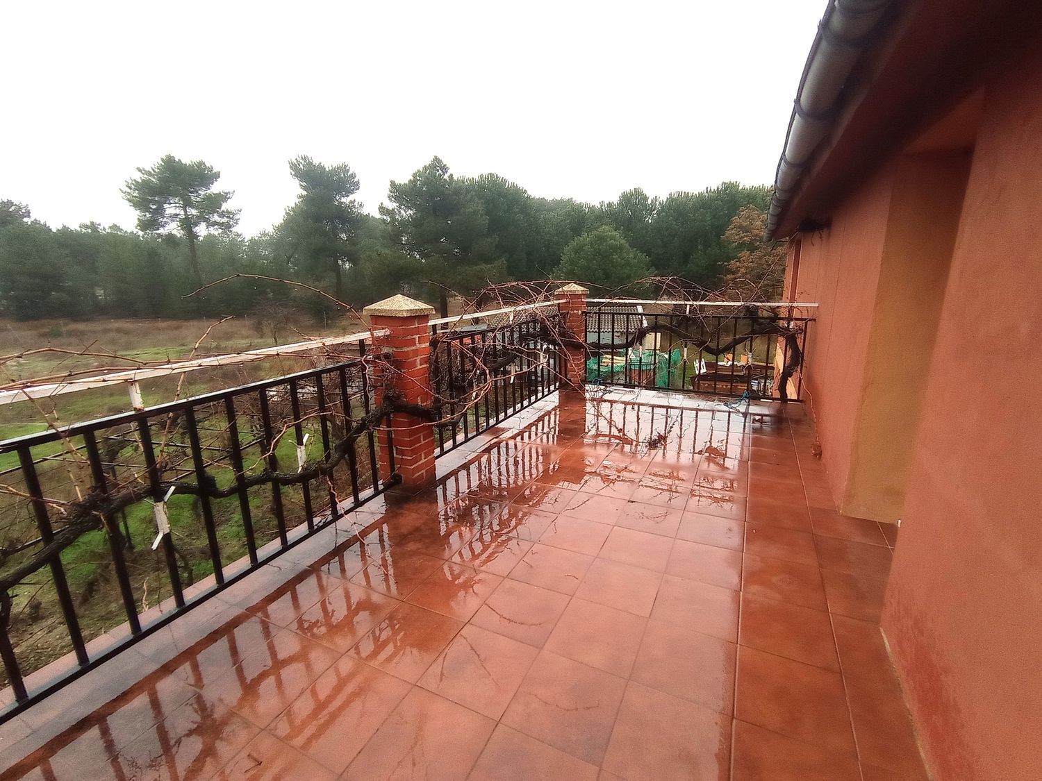 Casas o chalets-Venta-La Pedraja de Portillo-2032871-Foto-26