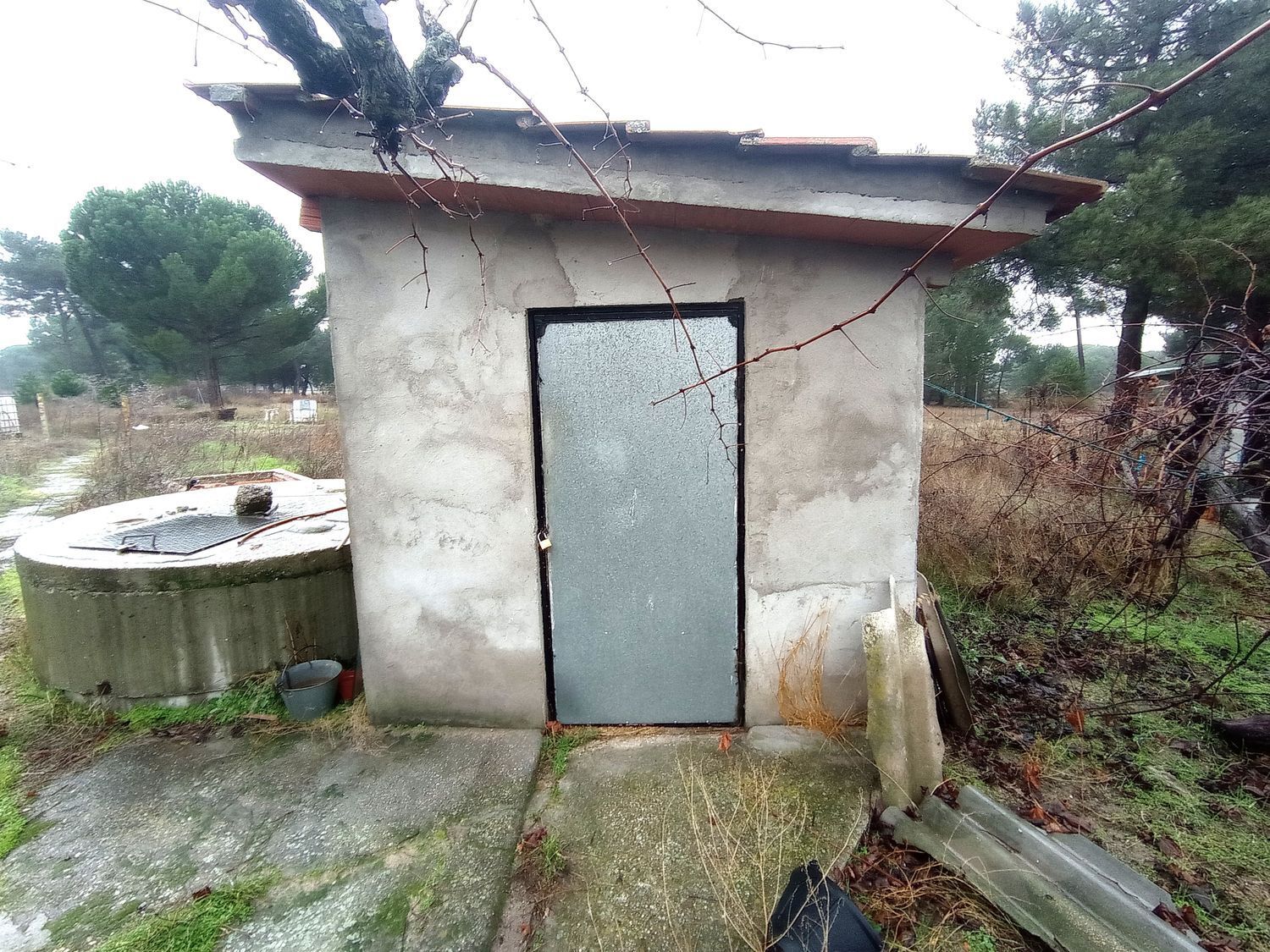 Casas o chalets-Venta-La Pedraja de Portillo-2032871-Foto-29