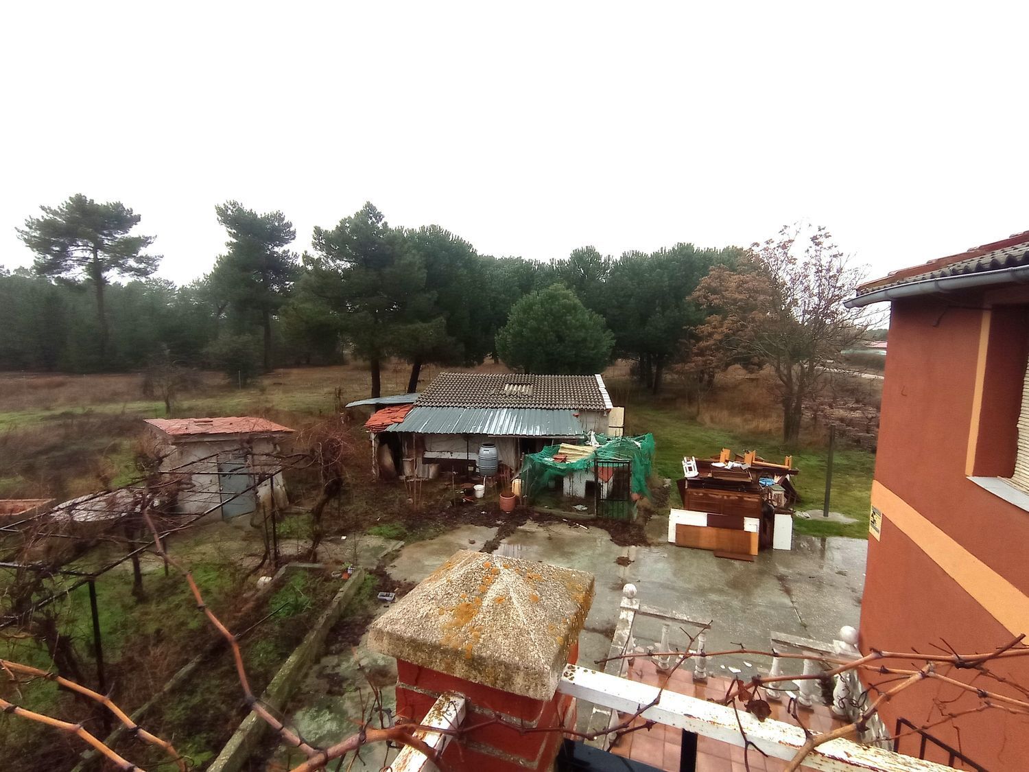 Casas o chalets-Venta-La Pedraja de Portillo-2032871-Foto-30