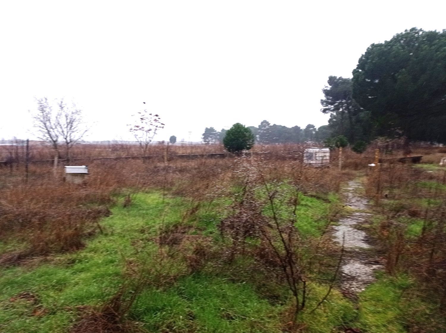 Casas o chalets-Venta-La Pedraja de Portillo-2032871-Foto-31