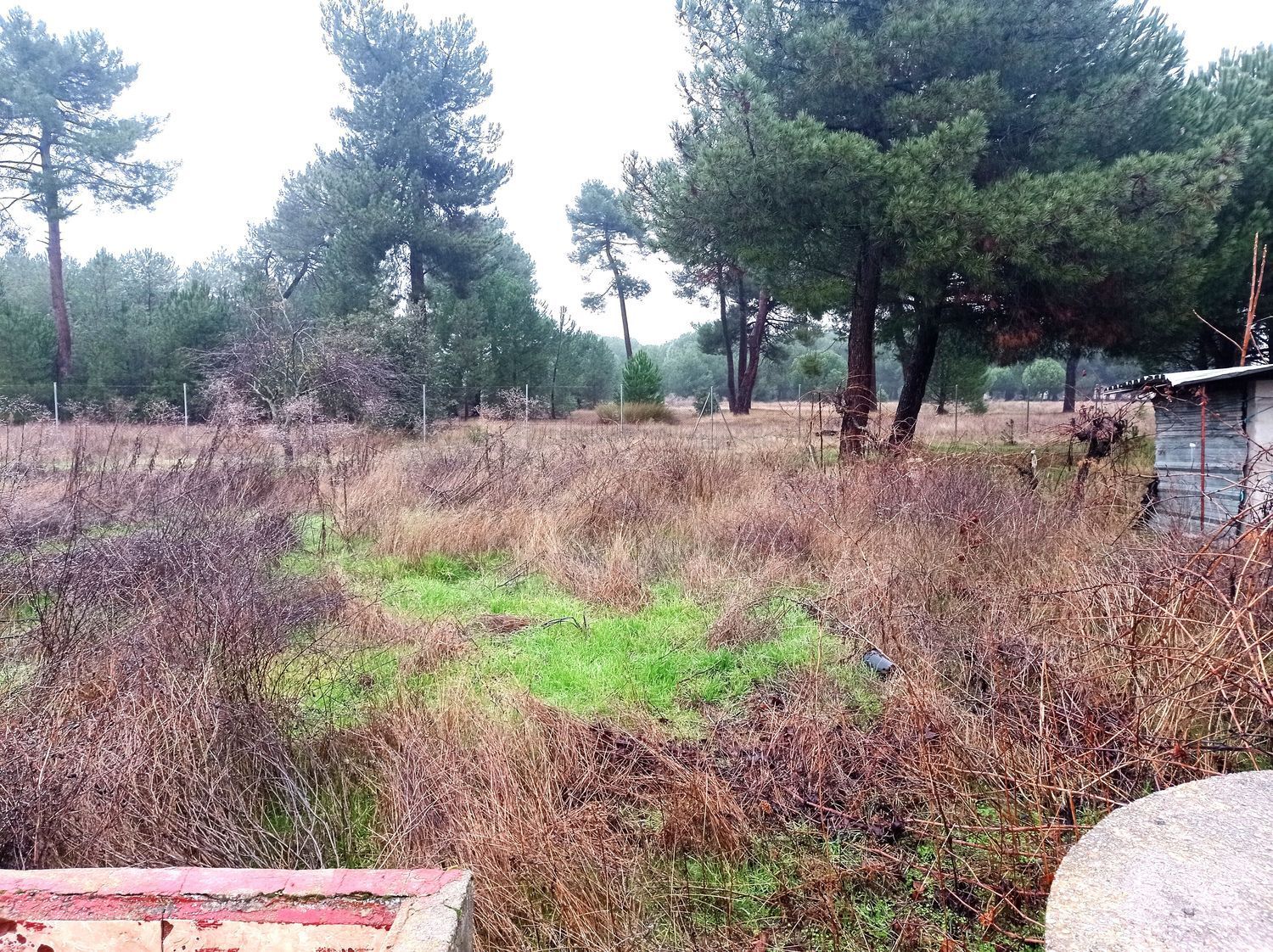 Casas o chalets-Venta-La Pedraja de Portillo-2032871-Foto-33