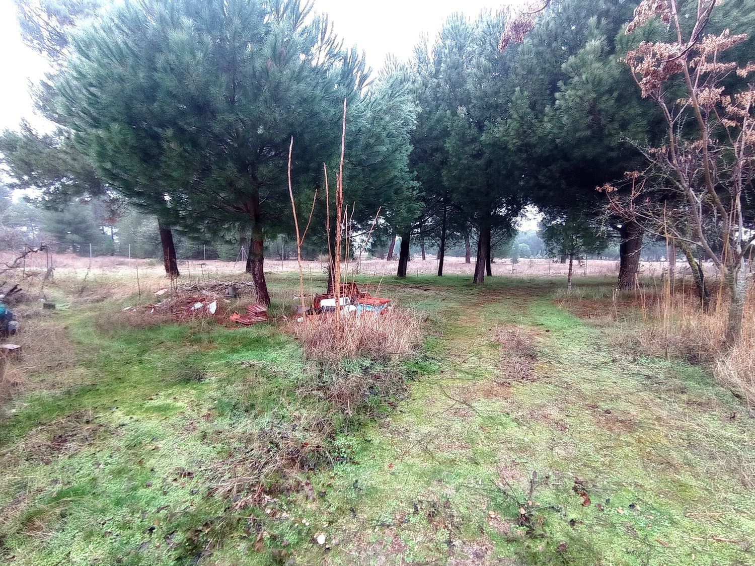 Casas o chalets-Venta-La Pedraja de Portillo-2032871-Foto-34