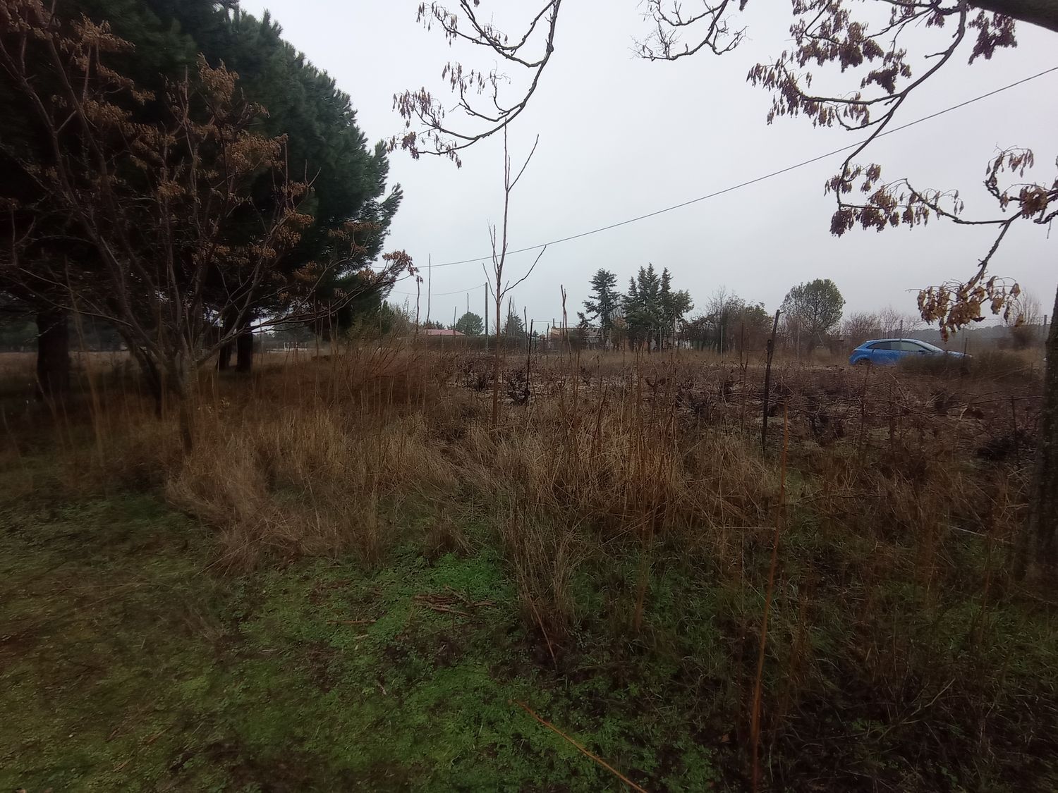 Casas o chalets-Venta-La Pedraja de Portillo-2032871-Foto-35