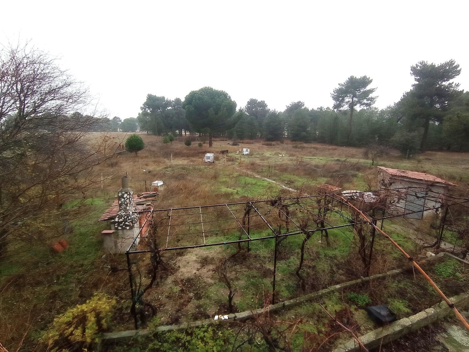 Casas o chalets-Venta-La Pedraja de Portillo-2032871-Foto-36