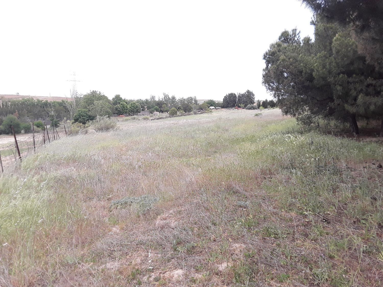 Fincas y solares-Venta-Moraleja de Enmedio-826791-Foto-9